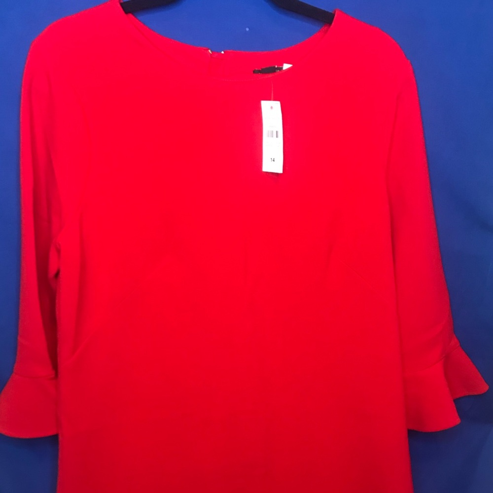 Anne Taylor Dress NWT
